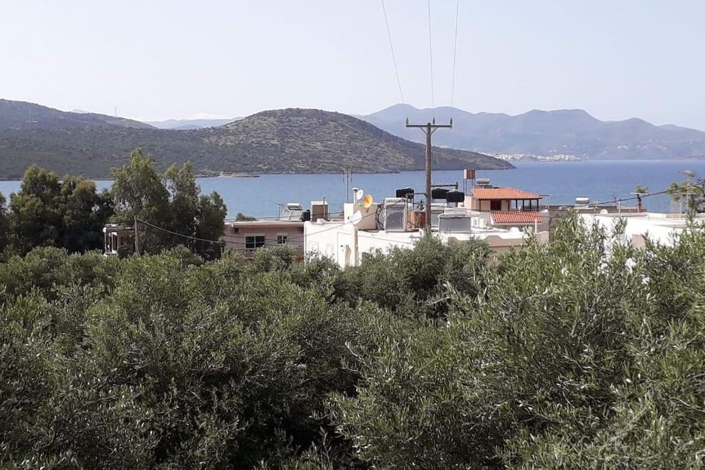 Cozy Apartments Ίστρο Εξωτερικό φωτογραφία