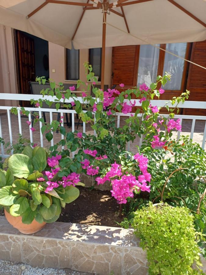 Cozy Apartments Ίστρο Εξωτερικό φωτογραφία